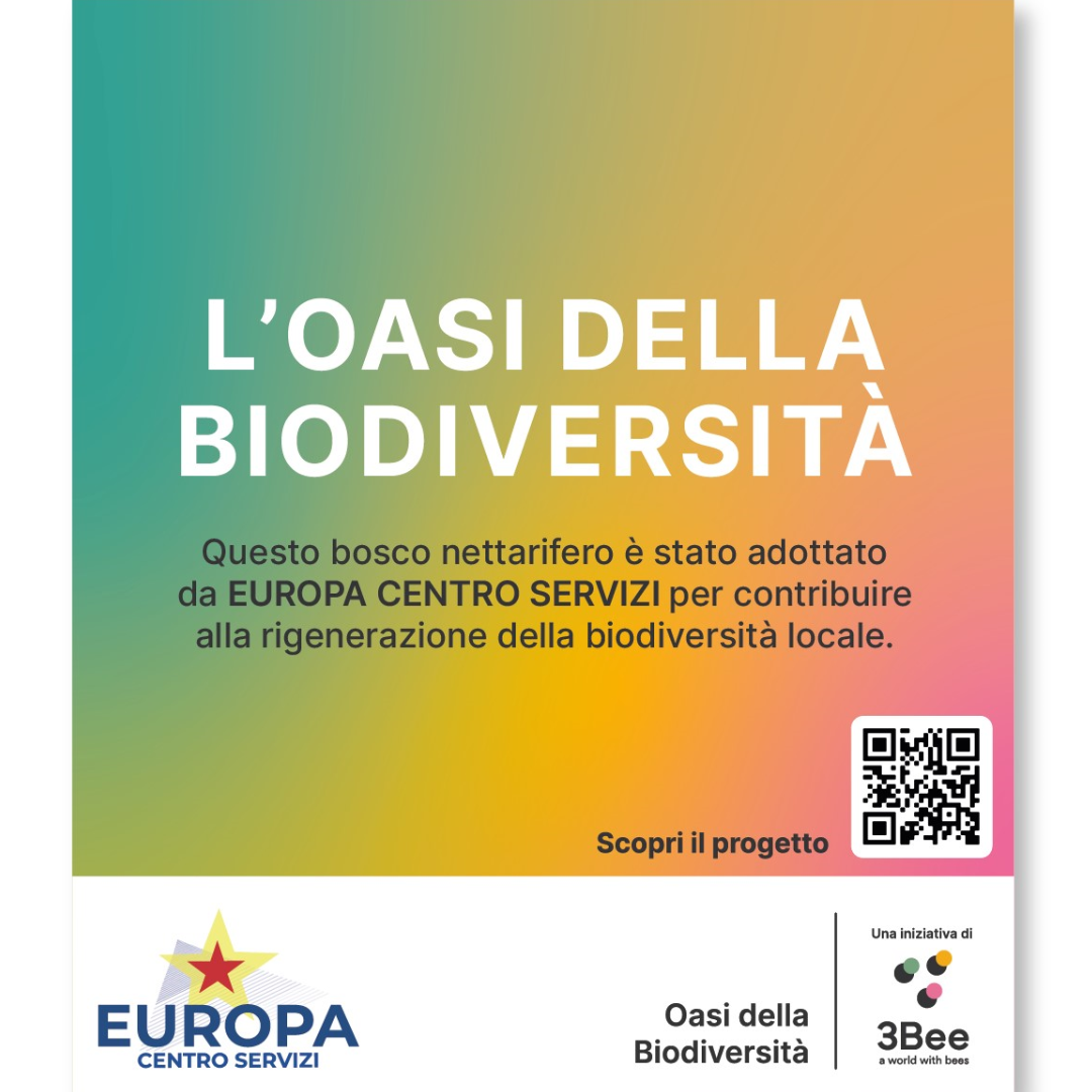 Europa Centro Servizi celebra le festività con ecosostenibilità: 50 alberi adottati in Sicilia per la biodiversità. 50 alberi piantumati, 17 kg di nettare, 1397 kg di CO2 immagazzinata. Un passo per un mondo migliore!