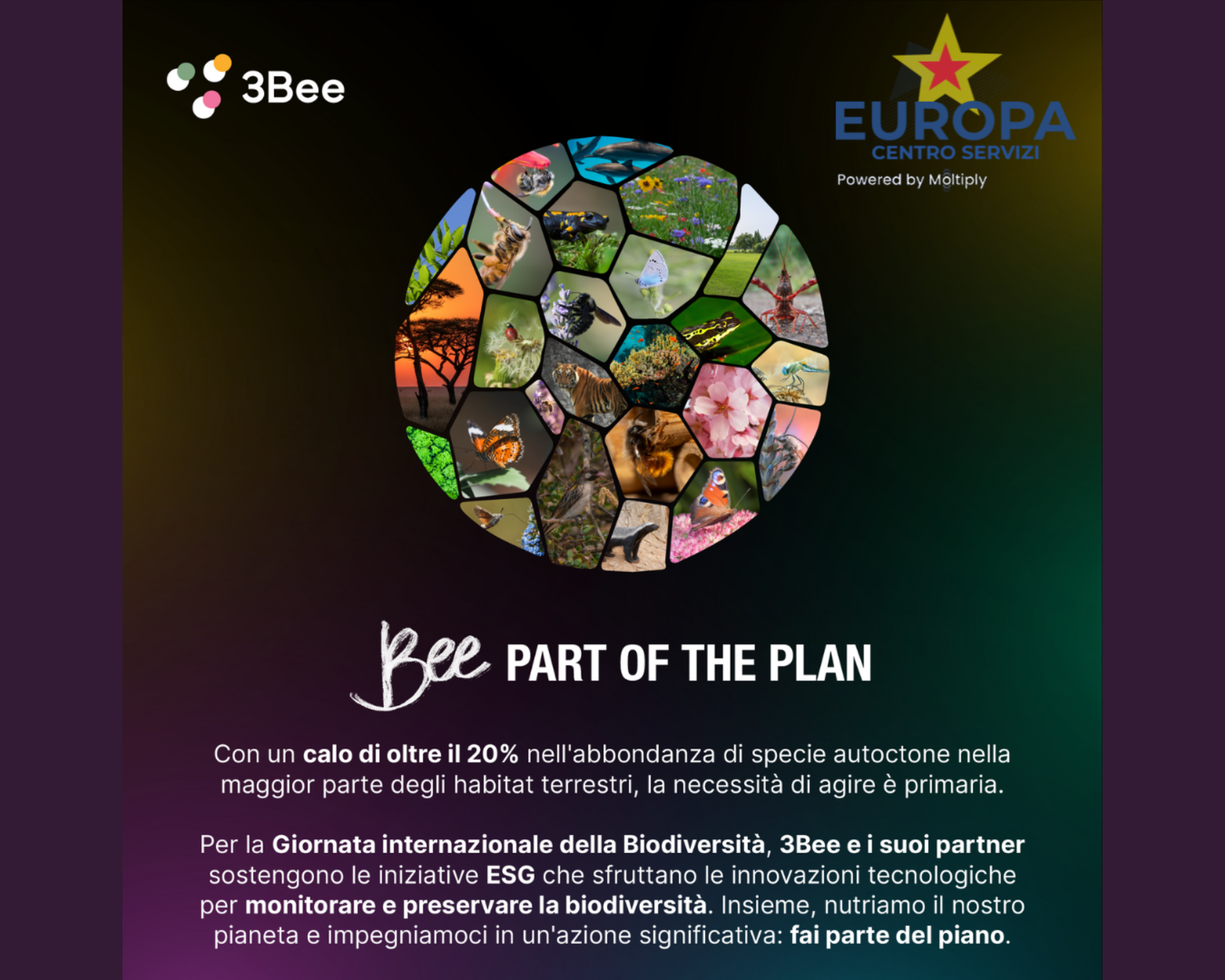 Europa Centro Servizi e 3Bee: Una Partnership per la Salvaguardia della Biodiversità con Azioni Concrete